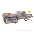 SUS304 new commercial fruits and vegetable processing line